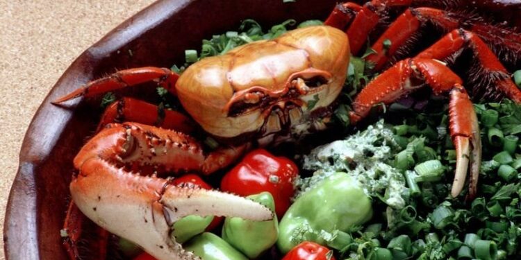 Imagem: Prefeitura de Matinhos