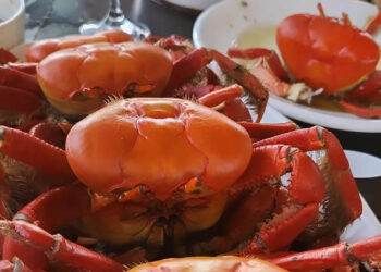 Foto: Adalberto Boarin / Divulgação