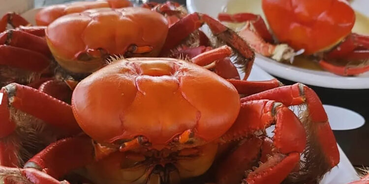 Foto: Adalberto Boarin / Divulgação