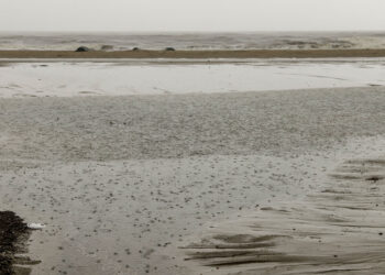 Foto: Roberto Dziura Jr/AEN