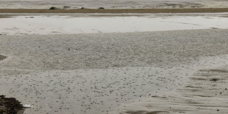 Foto: Roberto Dziura Jr/AEN