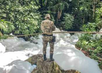 Imagem: Policia Militar Ambiental de Santa Catarina
