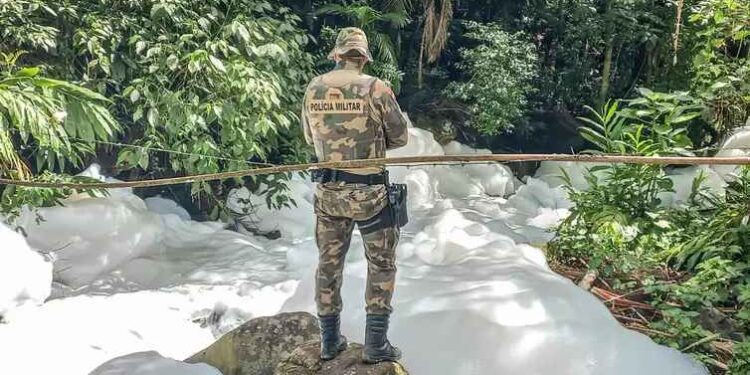 Imagem: Policia Militar Ambiental de Santa Catarina