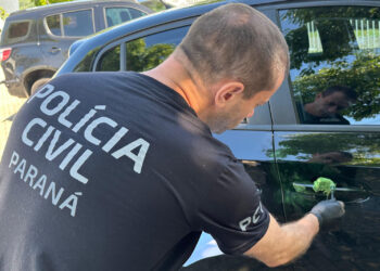 Foto: Beatriz Jarzinski/PCPR