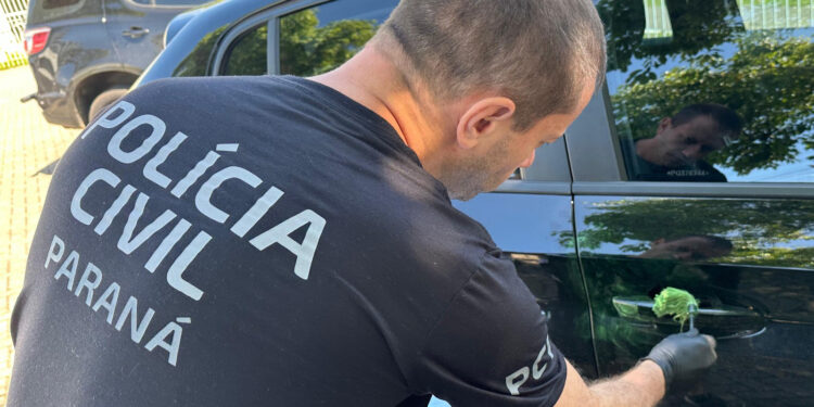 Foto: Beatriz Jarzinski/PCPR