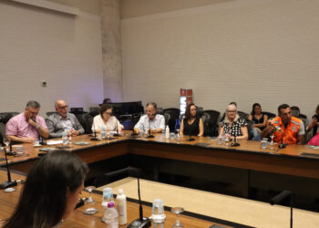 Foto: Geraldo Bubniak/AEN