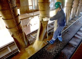 Foto: Jaelson Lucas/Arquivo AEN