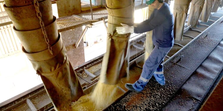 Foto: Jaelson Lucas/Arquivo AEN