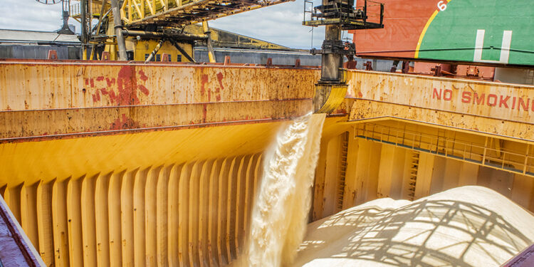 Foto: Claudio Neves/Portos do Paraná