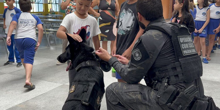 PCPR está levando serviços para a população da Ilha dos Valadares.