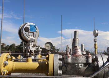 Foto: Ana Carolina Bendlin/Agepar