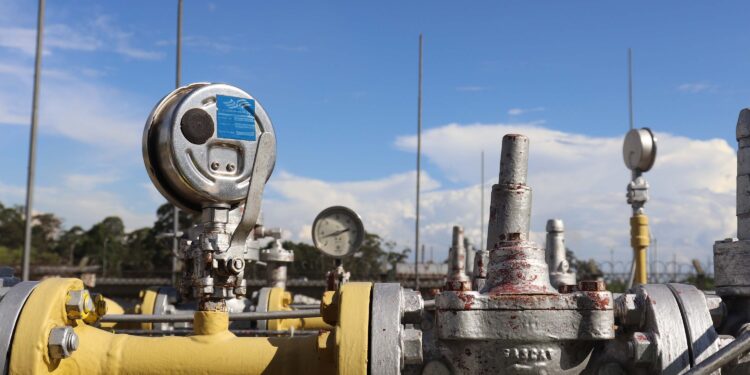 Foto: Ana Carolina Bendlin/Agepar