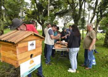 Foto: Dênis Ferreira Netto/SEDEST