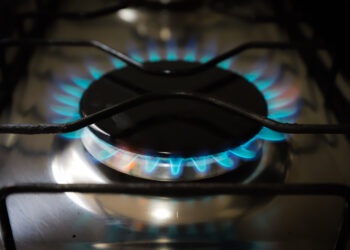 Foto: Geraldo Bubnik/AEN