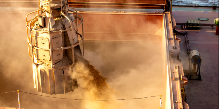 Foto: Claudio Neves/Portos do Paraná