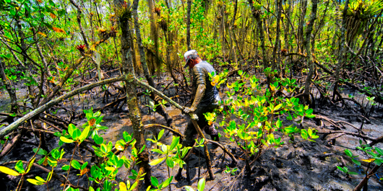 Foto: Denis Ferreira Netto