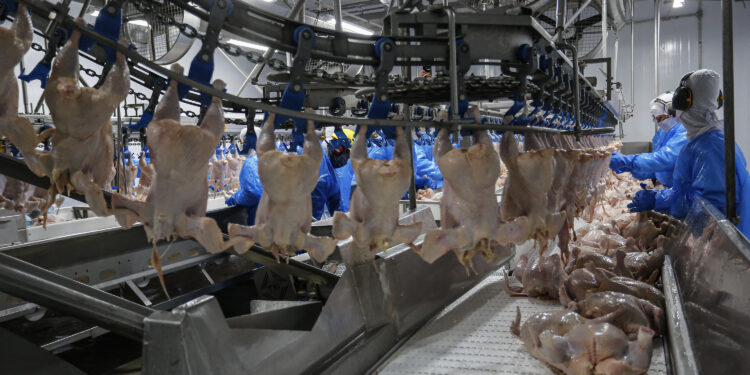 Foto: Jonathan Campos/Secom