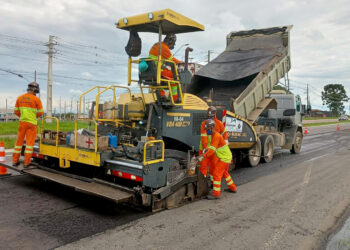 Foto: Via Araucária