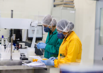 Saúde confirma novo caso de febre do oropouche no Paraná