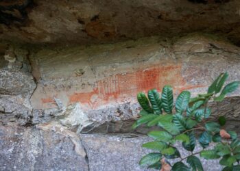 Cervos, araucárias e humanos: a pré-história do Paraná está nas paredes de Piraí do Sul