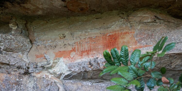 Cervos, araucárias e humanos: a pré-história do Paraná está nas paredes de Piraí do Sul