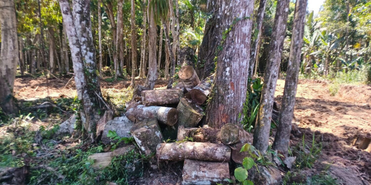 Nova operação policial vai intensificar o patrulhamento em três cidades da RMC