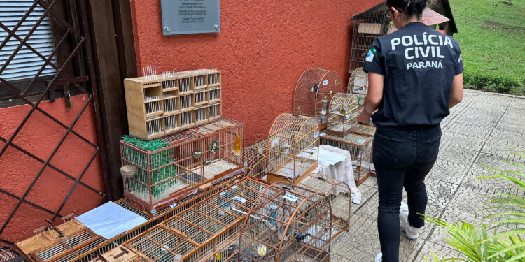 Polícia Civil do Paraná orienta sobre como denunciar maus-tratos a animais