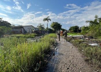 MPF acompanha demolição de construções irregulares em área de mangue em Paranaguá (PR)