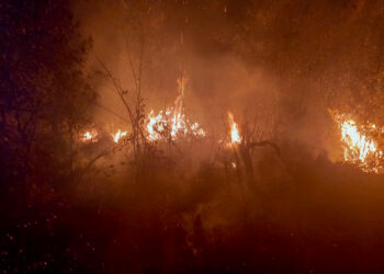 Período mais seco: IAT faz alerta sobre incêndios nas Unidades de Conservação do Paraná