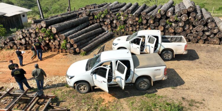 Multas, proibições e restrições: penalidades administrativas para crimes ambientais são severas