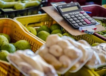 Foto: Rafa Neddermeyer/Agência Gov