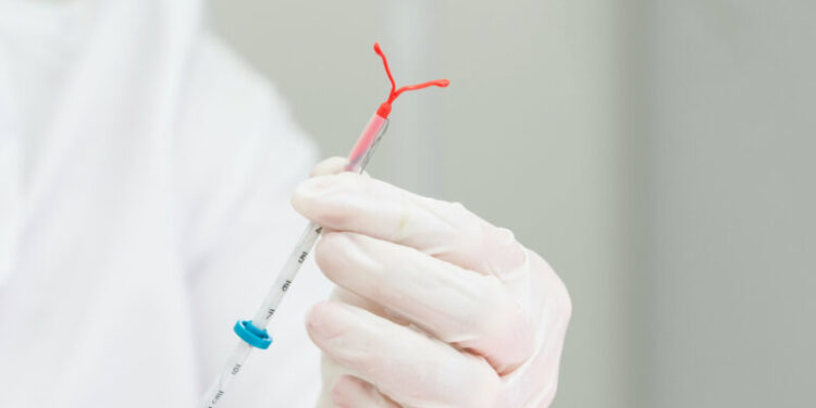 Imagem: Site da Daniela Vaz Franco