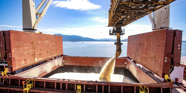 Foto: Claudio Neves/Portos do Paraná