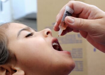 Foto: Venilton Küchler/Arquivo AEN