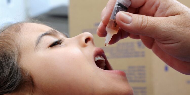 Foto: Venilton Küchler/Arquivo AEN