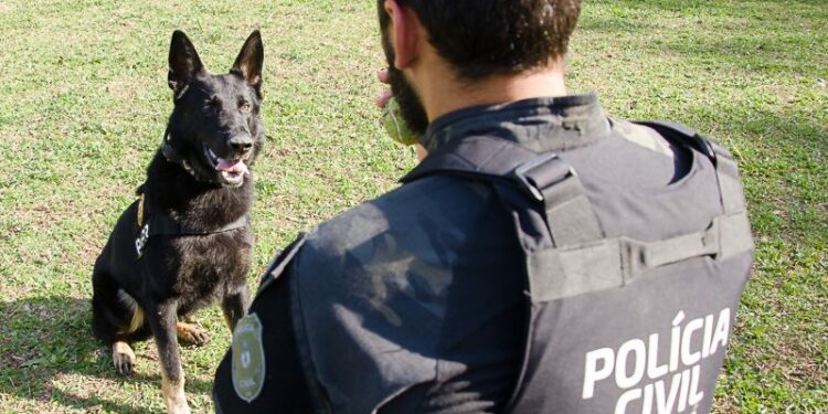 Foto: Fabio Dias/SESP