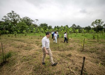 Foto: Claudio Neves/Portos do Paraná