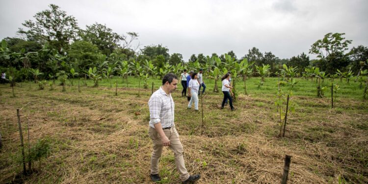 Foto: Claudio Neves/Portos do Paraná