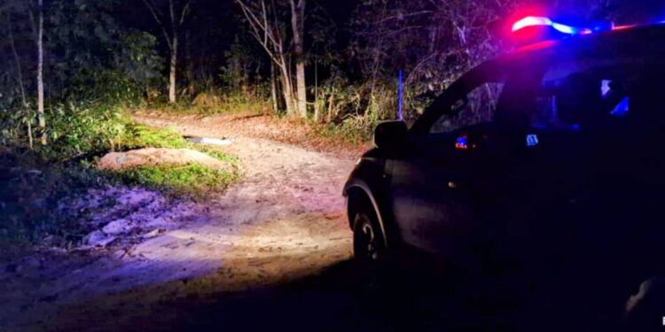 Foto: Portal E+ Notícias