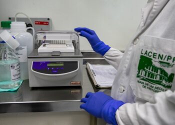 Foto: Roberto Dziura Jr/AEN