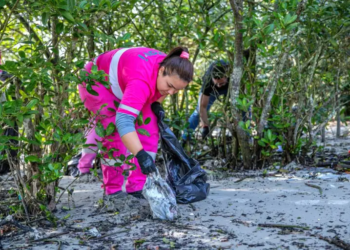 Foto: Cláudio Neves/Portos do Paraná