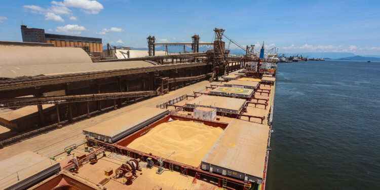 Foto: Rodrigo Félix Leal/SEIL-PR