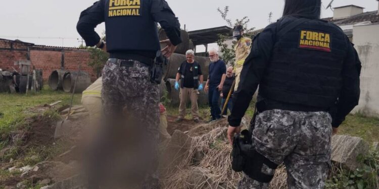 Foto: Portal E+ Notícias