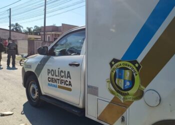 Pitbull pula muro da casa e mata um homem na Cidade de Matinhos