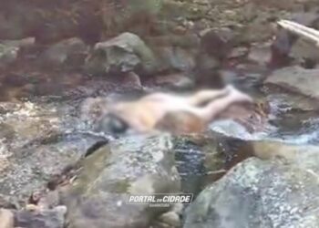 foto: Portal da Cidade Guaratuba