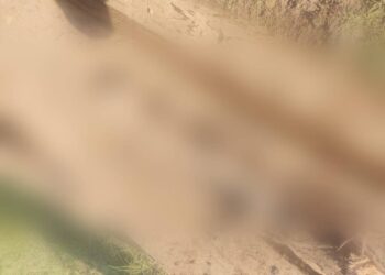 Foto: Portal E+ Notícias