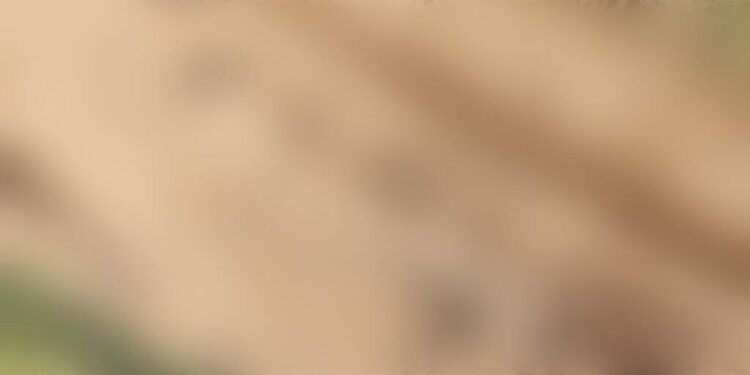 Foto: Portal E+ Notícias