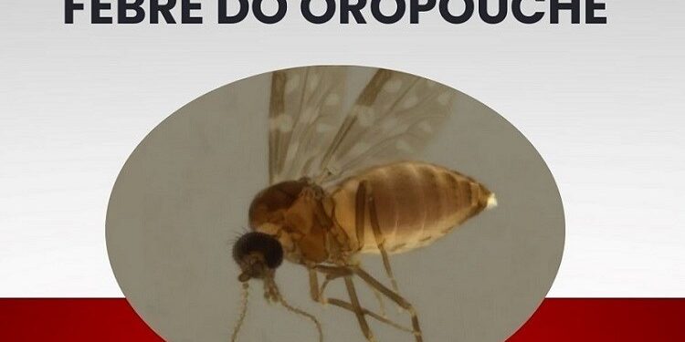 Foto: Gov. do Espirito Santo