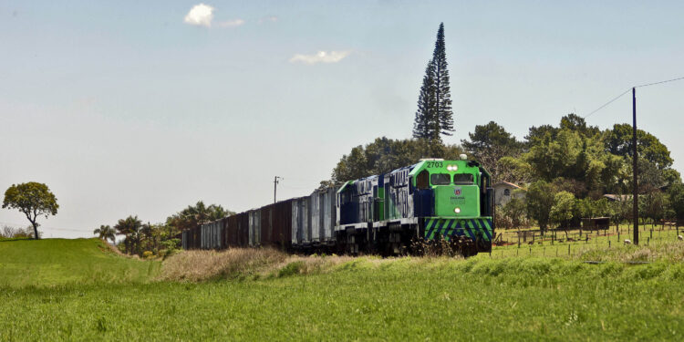 Foto: Albari Rosa/Arquivo AEN