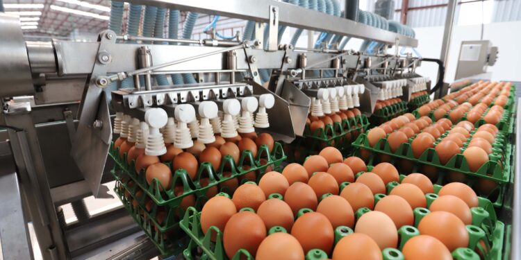 Foto: Rodrigo Félix Leal/SEIL-PR